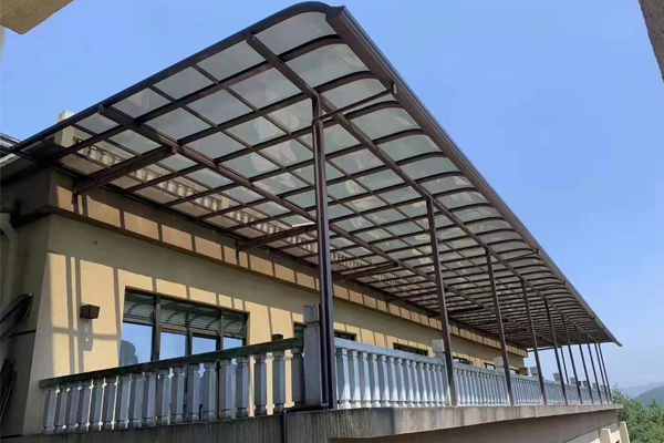 rising dragon stainless steel canopy.jpg