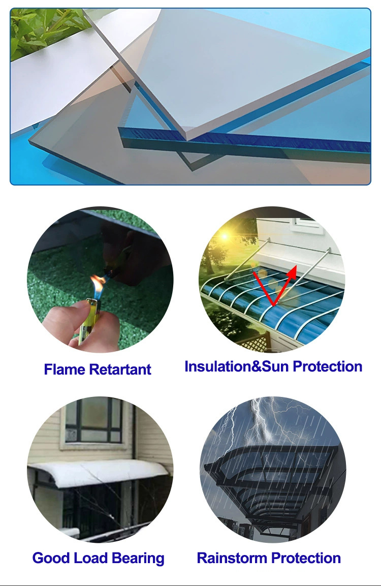 rising dragon caseD (1).jpg