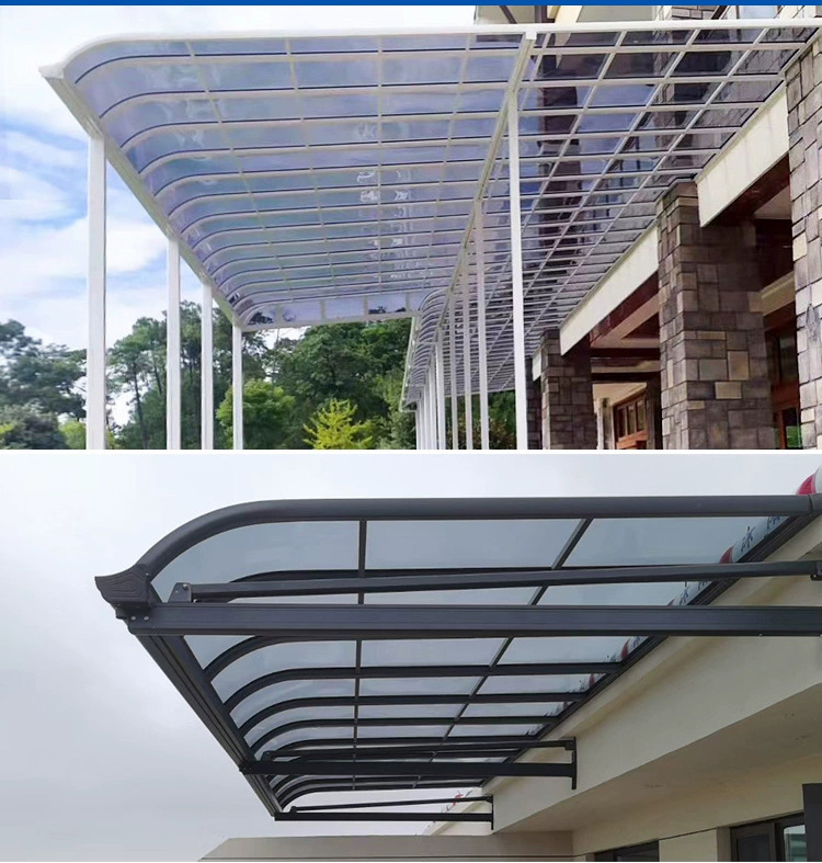 rising dragon caseD (5).jpg